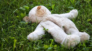 Teddybär liegt im Gras